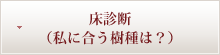 床診断(私に合う樹種は?)